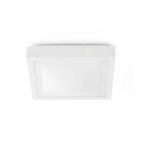 Bathroom Flush Light Tola II