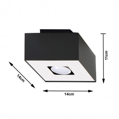 Plafón de techo Mono (1 luz)