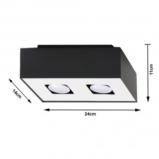 Plafón de techo Mono (2 luces)