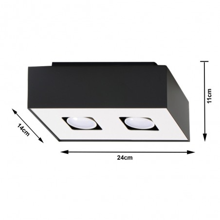 Plafón de techo Mono (2 luces)