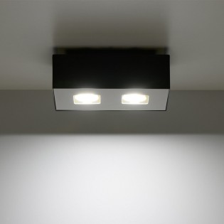Flush Light Mono (2 Lights)