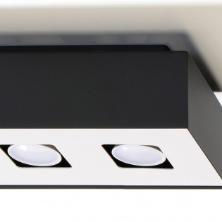 Plafón de techo Mono (2 luces)