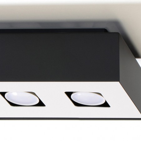 Plafón de techo Mono (2 luces)