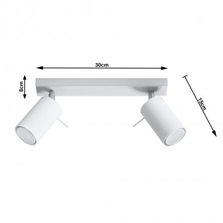 Ceiling Track Light Ring (2 Lights)