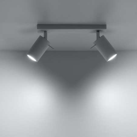 Ceiling Track Light Ring (2 Lights)