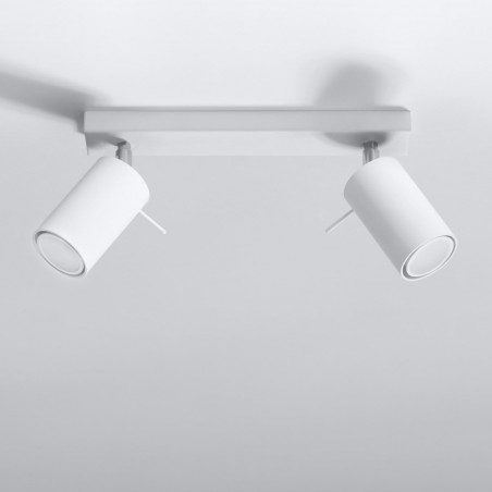 Ceiling Track Light Ring (2 Lights)