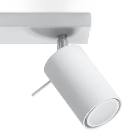 Ceiling Track Light Ring (2 Lights)