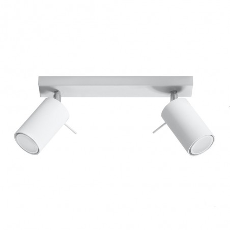 Ceiling Track Light Ring (2 Lights)