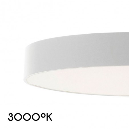 LED Flush Light Bilog (48W)