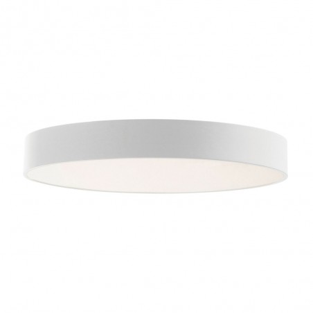 LED Flush Light Bilog (48W)
