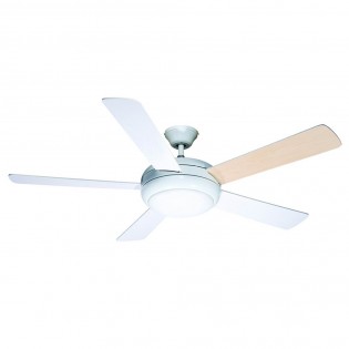 Ceiling Fan with light Randy
