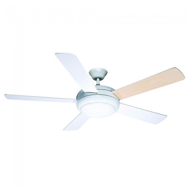 Ceiling Fan with light Randy