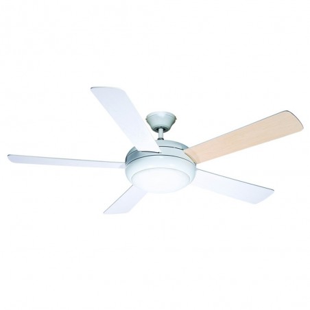 Ceiling Fan with light Randy