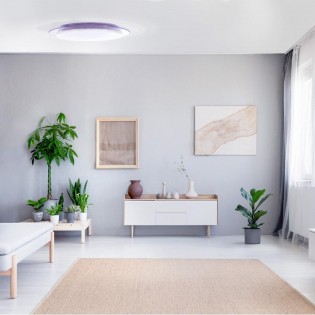 Plafón de techo LED Melissa (40W)