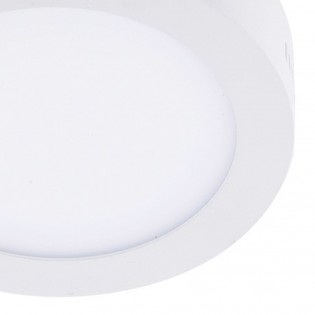 LED Flush Light Know (30W)