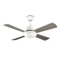 Ceiling Fan with light Borneo