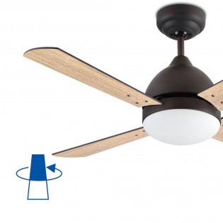 Ceiling Fan with light Borneo