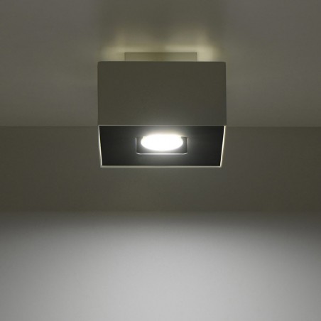 Plafón de techo Mono II (1 luz)