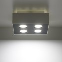 Flush Light Mono II (4 lights)