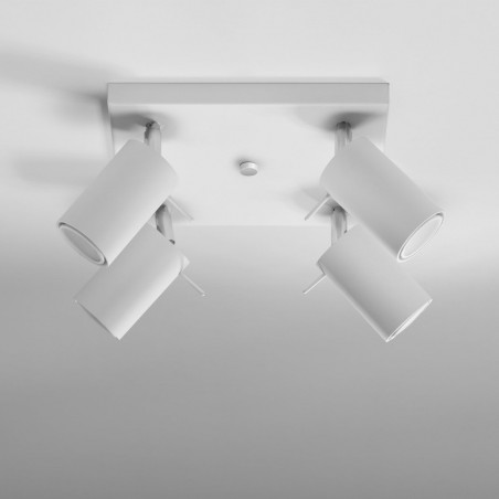 Flush Light Ring (4 lights)