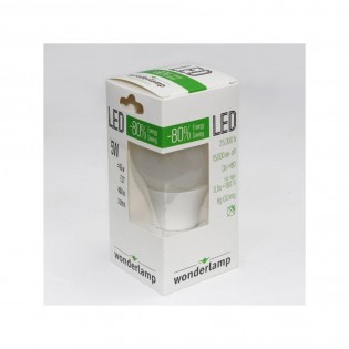 Pack 10 Bombillas LED Estandard E27 (5W - 4200K)
