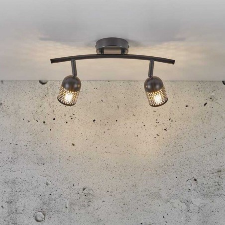Regleta de techo Alfred (2 luces)