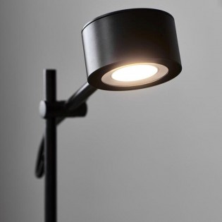 LED Floor Lamp Clyde (2x5W)