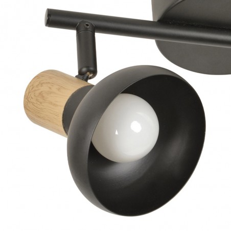 Ceiling Track Light Alvar (2 Lights)