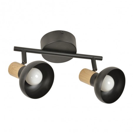 Ceiling Track Light Alvar (2 Lights)