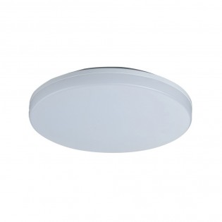 Outdoor LED Ceiling Flush Light Dalia (12W)