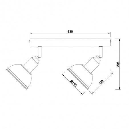 Ceiling Track Light Delhi (2 lights)