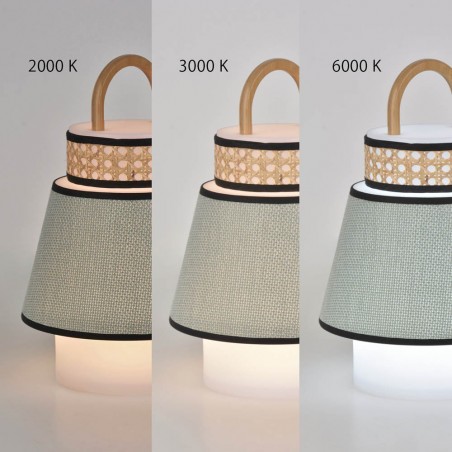 Outdoor LED Portable Lamp Singapour (4W)