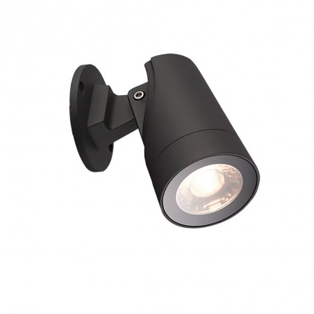 Foco LED de exterior con piqueta  (12W)