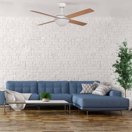 Ceiling Fan with light Millar