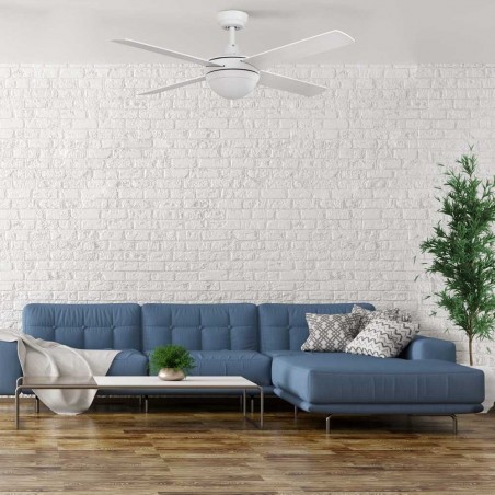 Ceiling Fan with light Millar