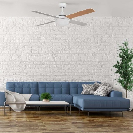 Ventilador de techo