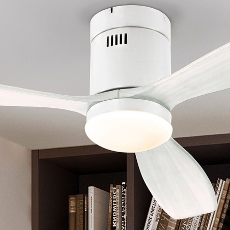 Ceiling Fan with LED Siroco (15W)