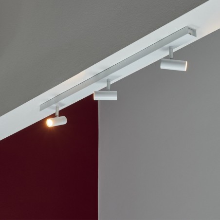 Regleta de techo Omari (3 luces)