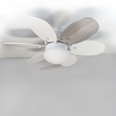 Ceiling fan with light Orion