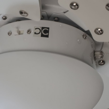 Ceiling fan with light Orion
