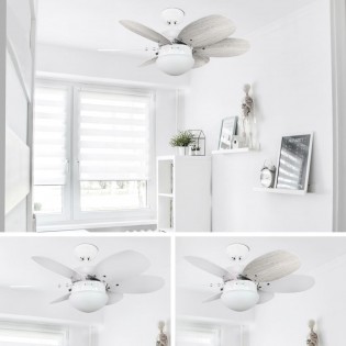 Ventilador de techo con luz Orion