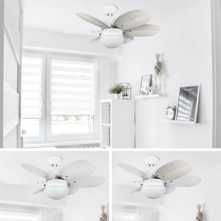 Ventilador de techo con luz Orion
