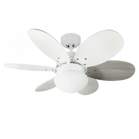 Ceiling fan with light Orion