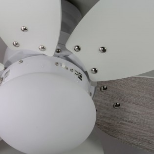 Ventilador de techo con luz Orion
