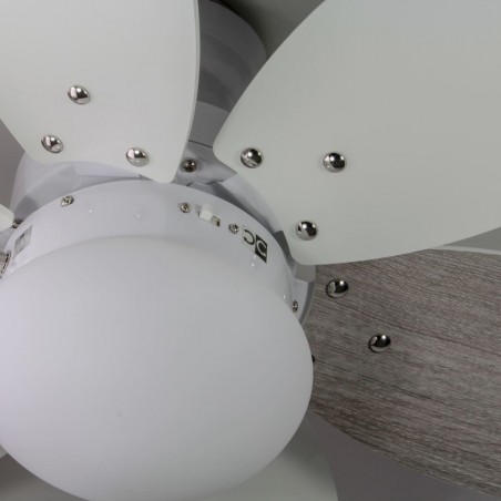 Ceiling fan with light Orion