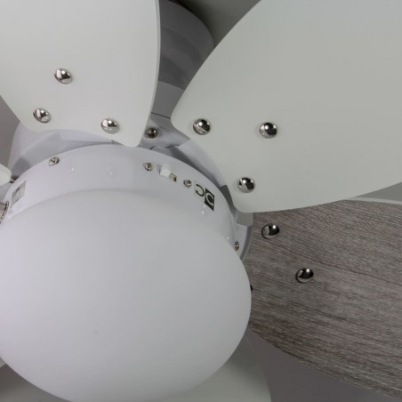 Ceiling Fan with light Tauro