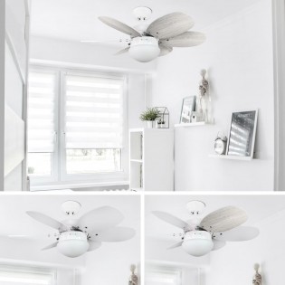 Ceiling Fan with light Tauro