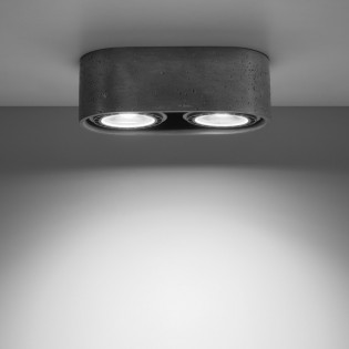 Plafón de techo Basic (2 luces)