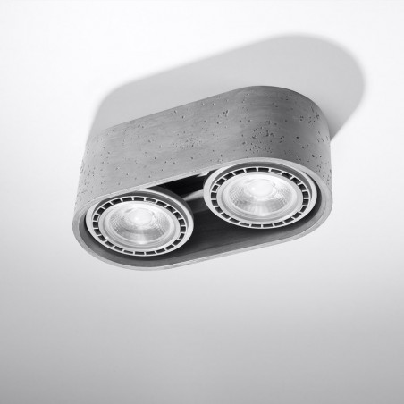Plafón de techo Basic (2 luces)