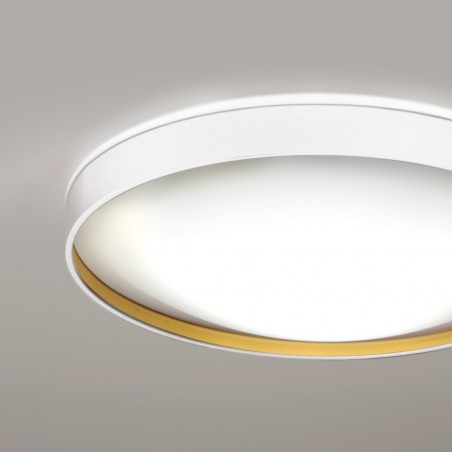Ceiling Flush Light Alina
